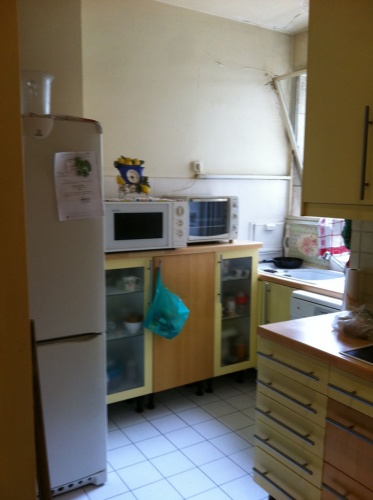 Rnovation et amnagement d'un appartement Wagram : Cuisine avant