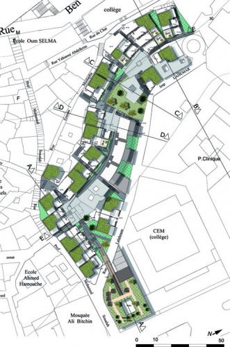 Projet de Fin d'Etudes : plan de masse light